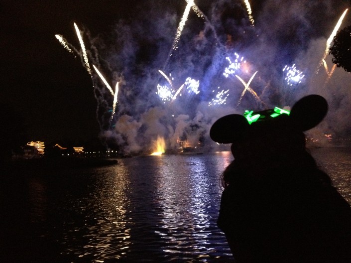 fireworks at Epcot on the 4th of July.