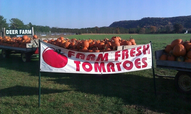 enhanced-buzz-22784-1379977990-4